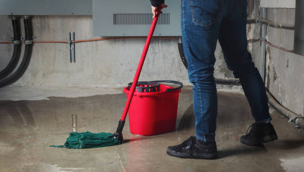 Best Ceiling water damage repair  in Palm River Clair Mel, FL