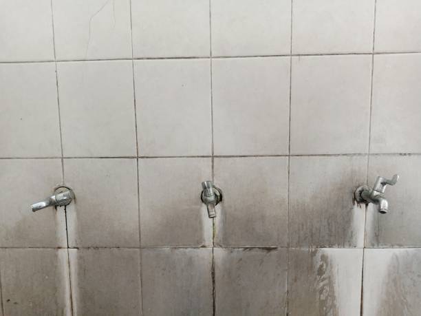 Best Fire Damage Restoration  in Palm River Clair Mel, FL