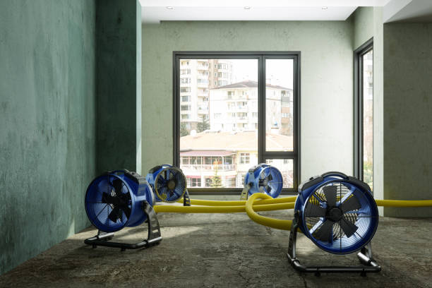 Best Emergency water damage restoration  in Palm River Clair Mel, FL